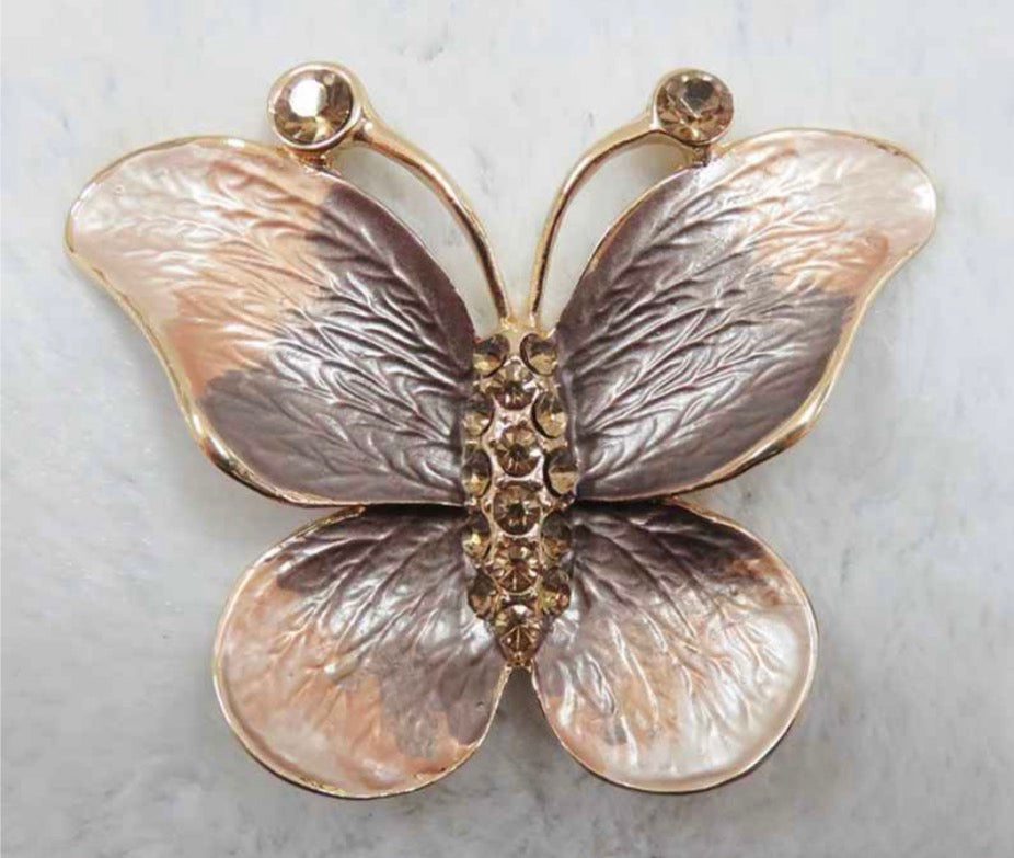 Wings Brooch