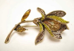 Solitary Brooch