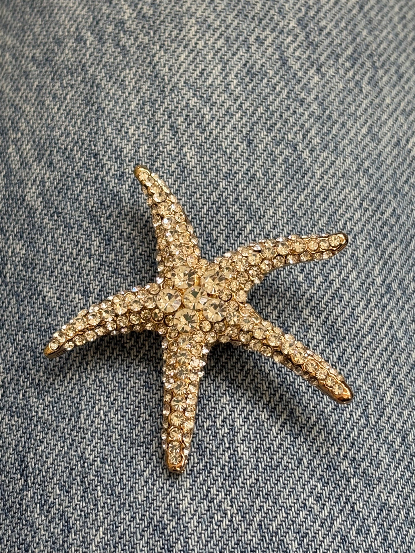 Stary Pin