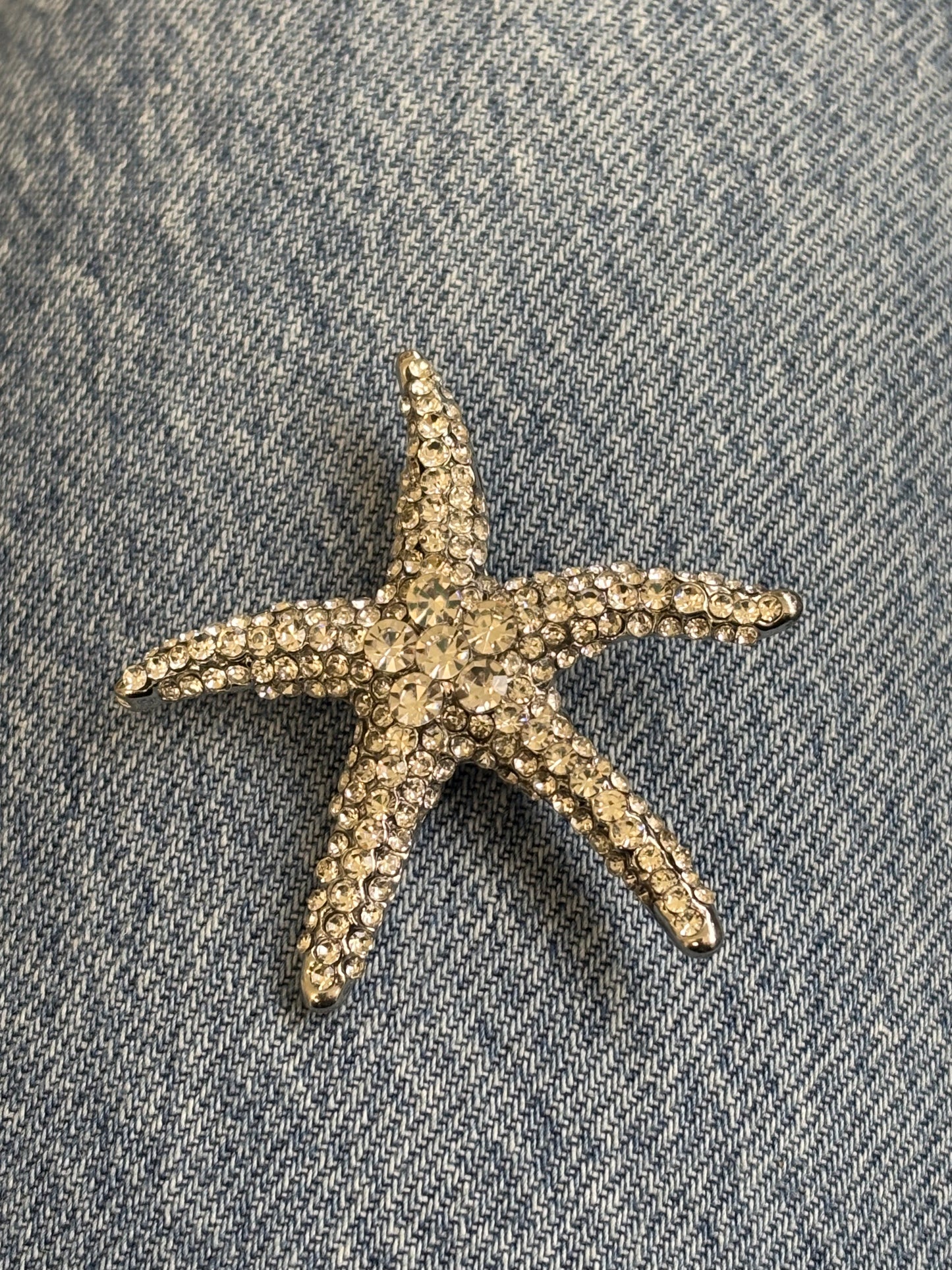 Stary Pin